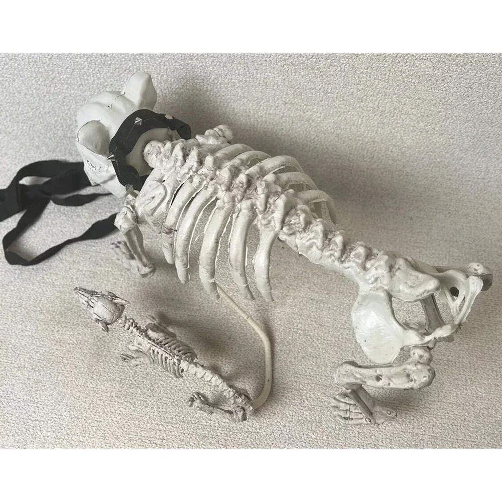 Skeleton Dogs Halloween Decorations Realistic Bones Scary Horror Lot 2